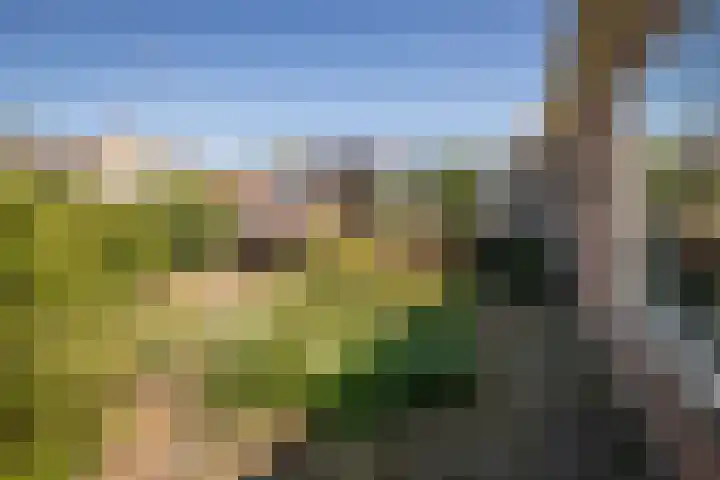 Horn 27 Lutjebroek thumbnail 40