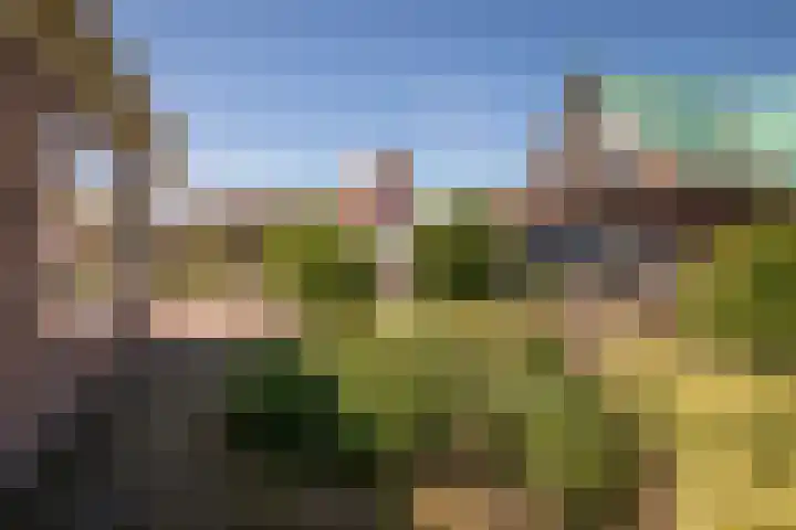 Horn 27 Lutjebroek thumbnail 41