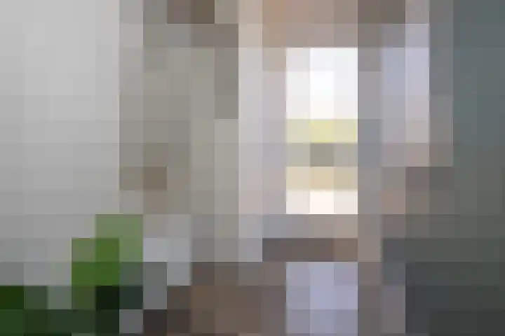 Horn 27 Lutjebroek thumbnail 6