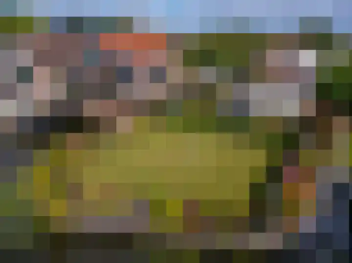 Horn 47 Lutjebroek thumbnail 24