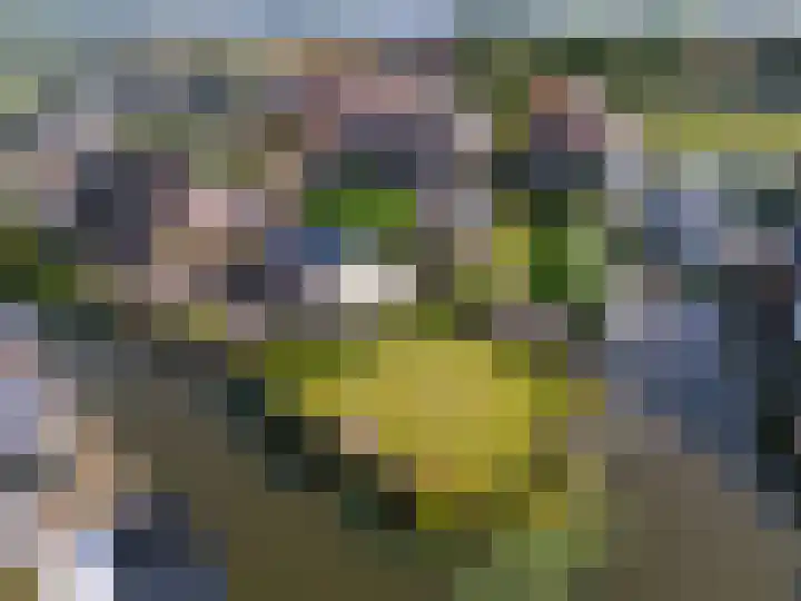 Horn 47 Lutjebroek thumbnail 25