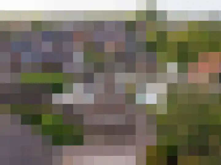 Horn 47 Lutjebroek thumbnail 27