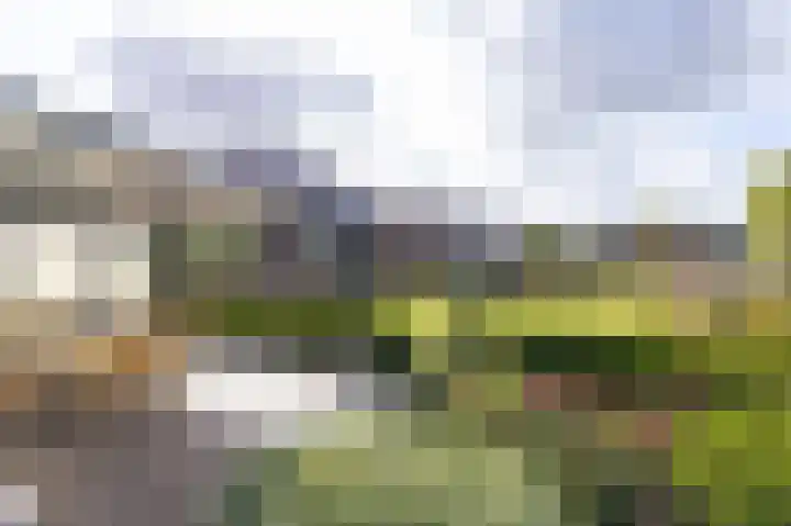 Horn 47 Lutjebroek thumbnail 29