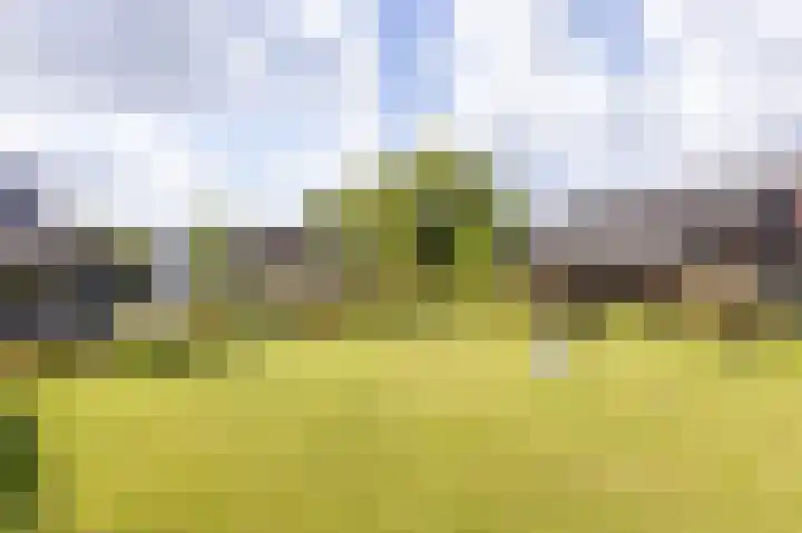 Horn 47 Lutjebroek thumbnail 30