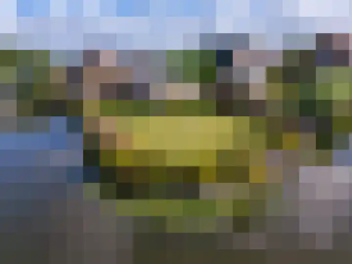 Horn 47 Lutjebroek thumbnail 36
