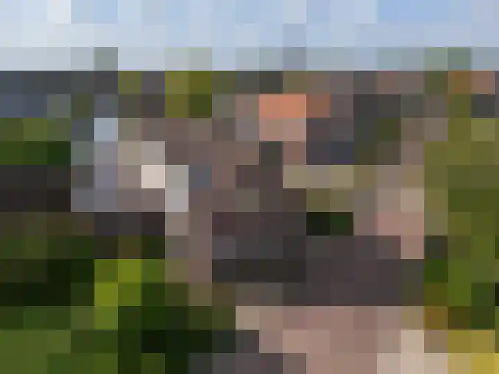 Horn 47 Lutjebroek thumbnail 4