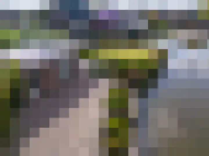 Horn 47 Lutjebroek thumbnail 5