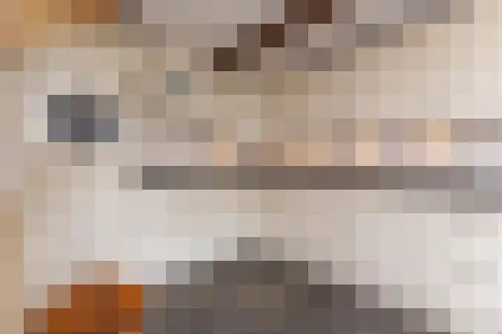 Horn 47 Lutjebroek thumbnail 7