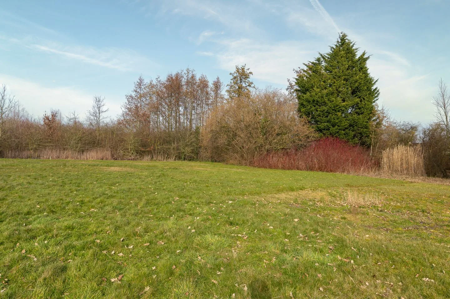 Horn 56 Lutjebroek thumbnail 27