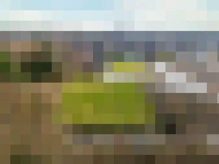 Horn 56 Lutjebroek thumbnail 38