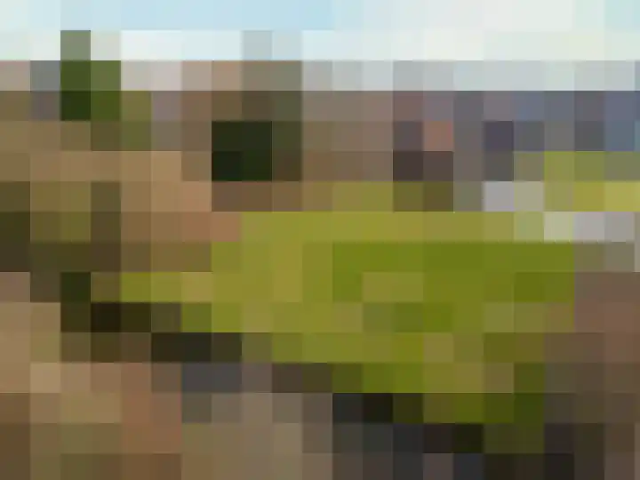 Horn 56 Lutjebroek thumbnail 4