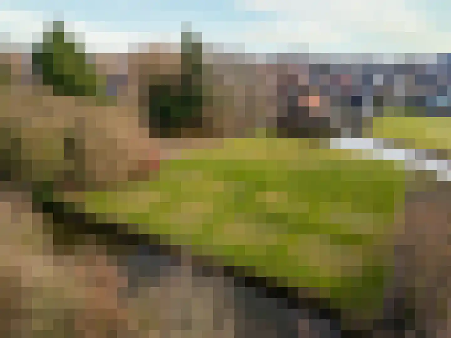 Horn 56 Lutjebroek thumbnail 4