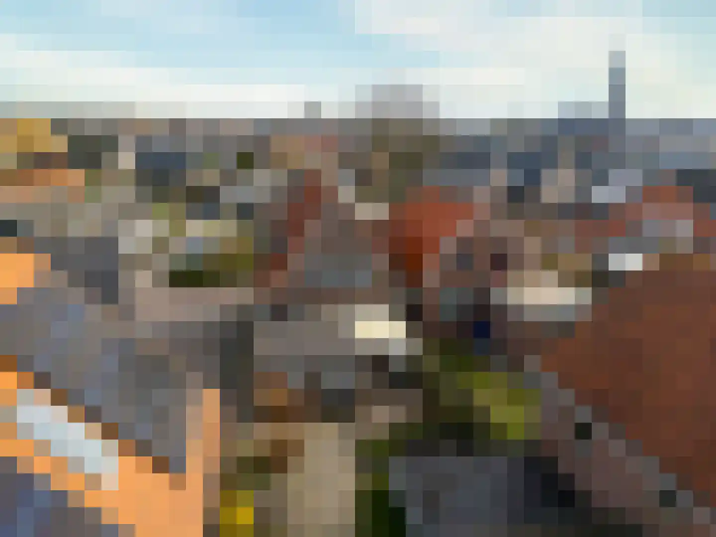 Horn 56 Lutjebroek thumbnail 5