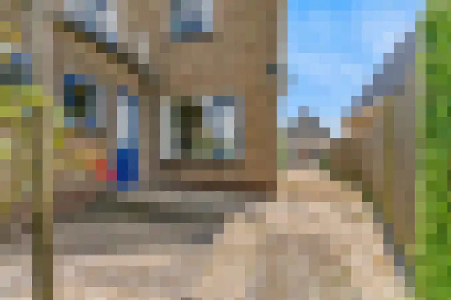 Horn 68 Lutjebroek thumbnail 24