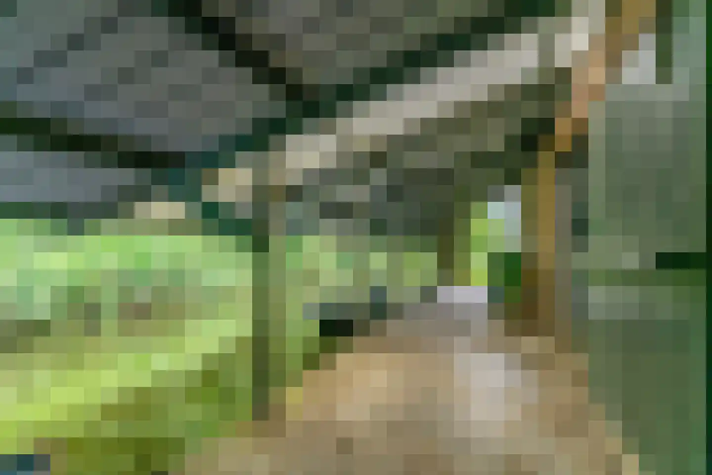 Horn 68 Lutjebroek thumbnail 44