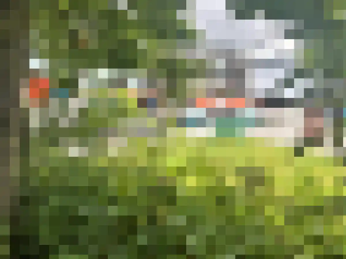 Horn 754 Weesp thumbnail 5