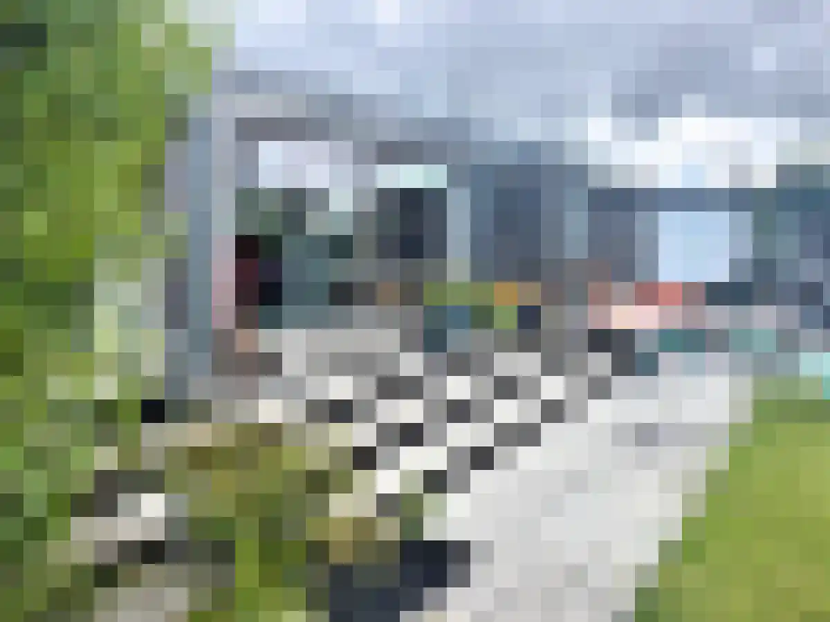Horn 754 Weesp thumbnail 6