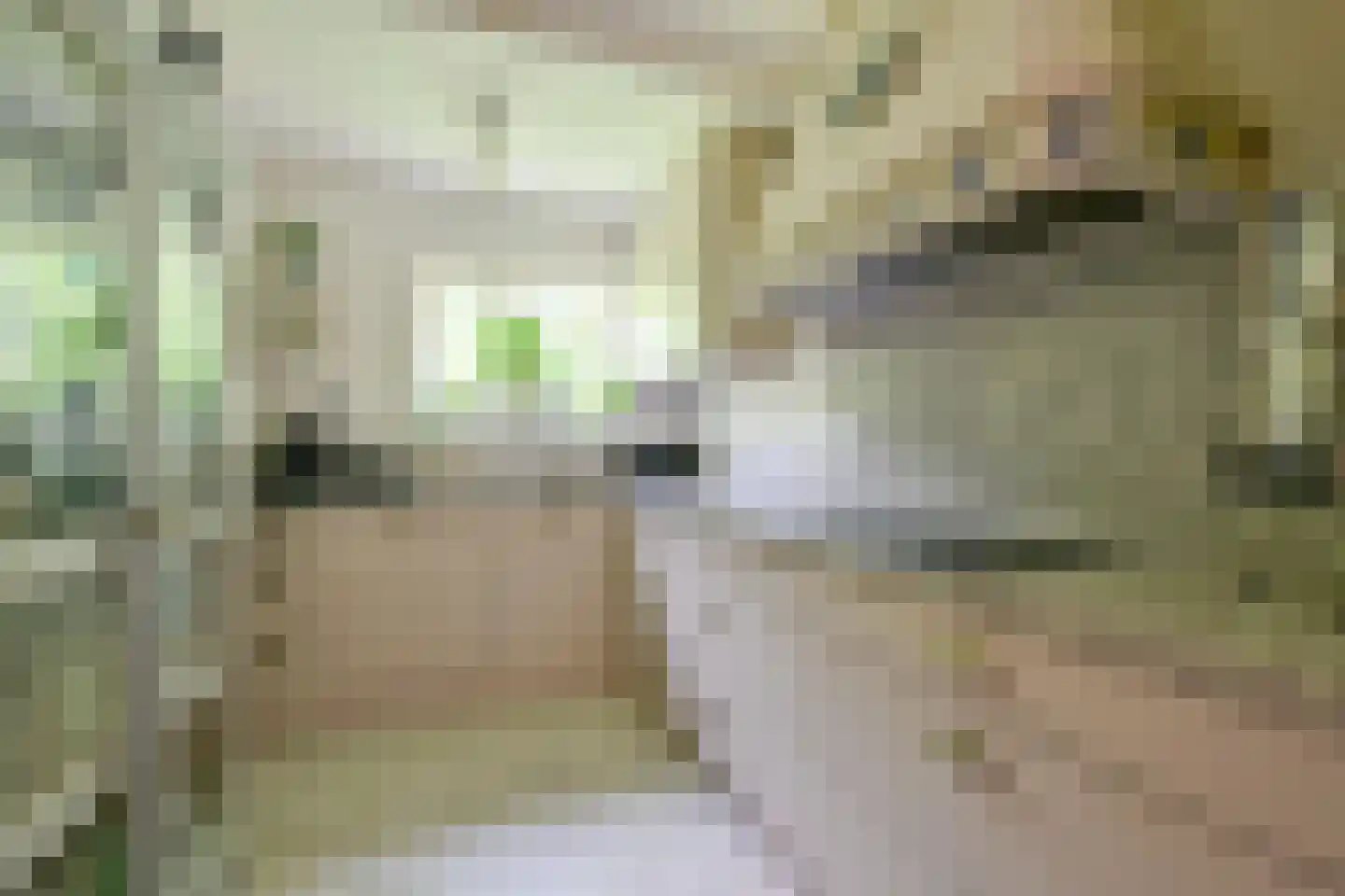 Hornderweg 10 Twisk thumbnail 13