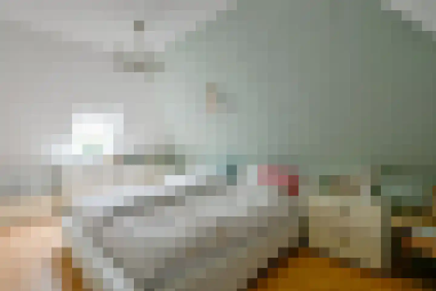 Hornderweg 10 Twisk thumbnail 21