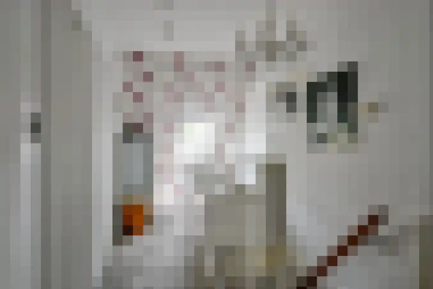 Hornderweg 10 Twisk thumbnail 25