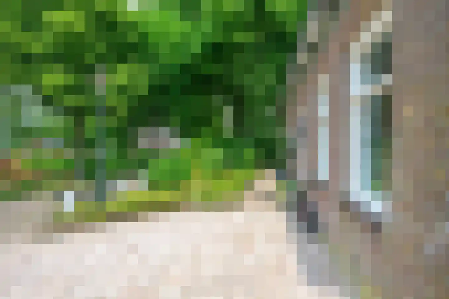 Hornderweg 10 Twisk thumbnail 31