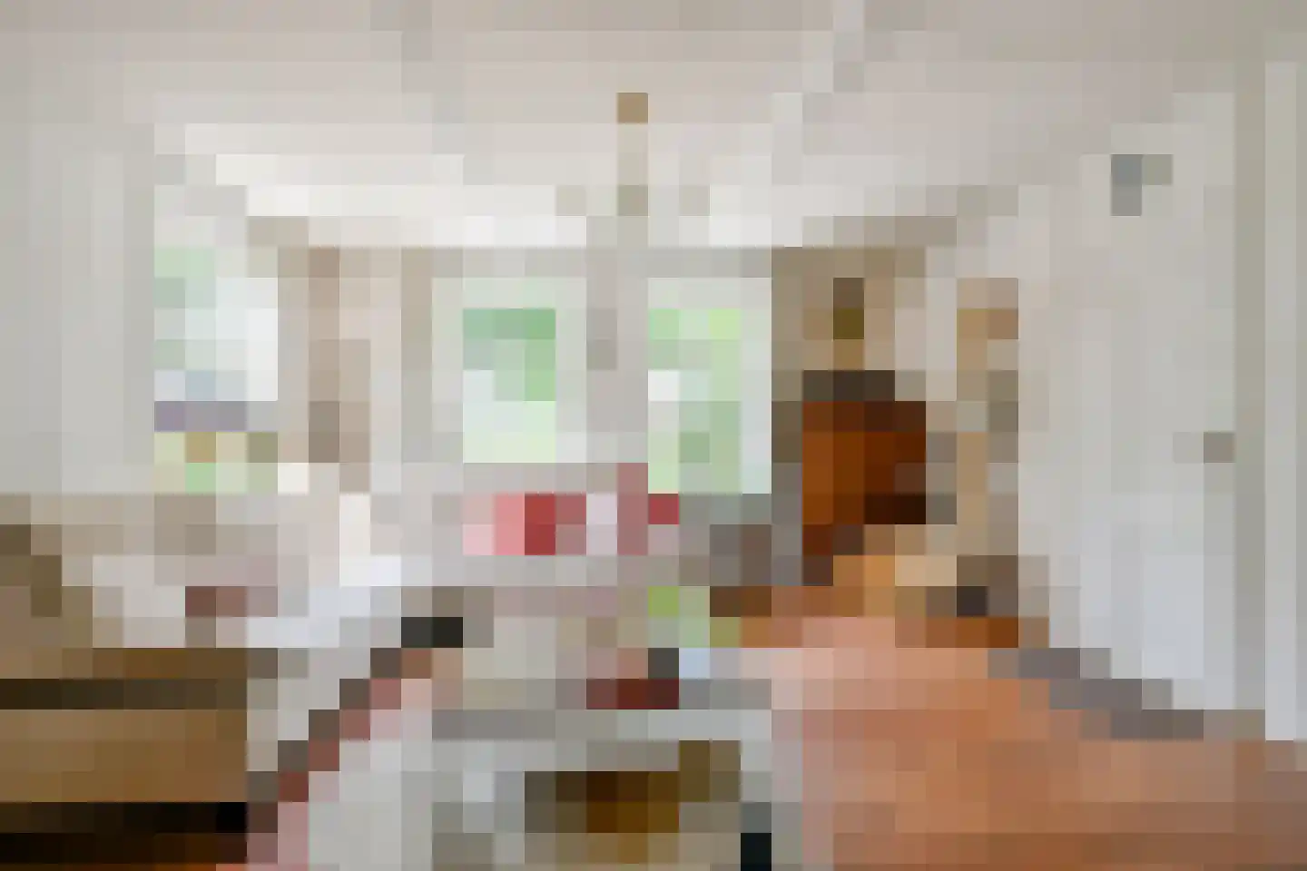 Hornderweg 10 Twisk thumbnail 8