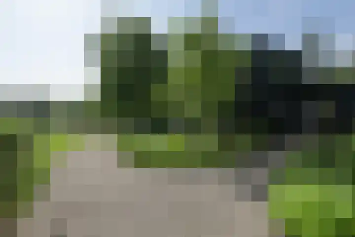 Horndijk 2 a Loosdrecht thumbnail 10