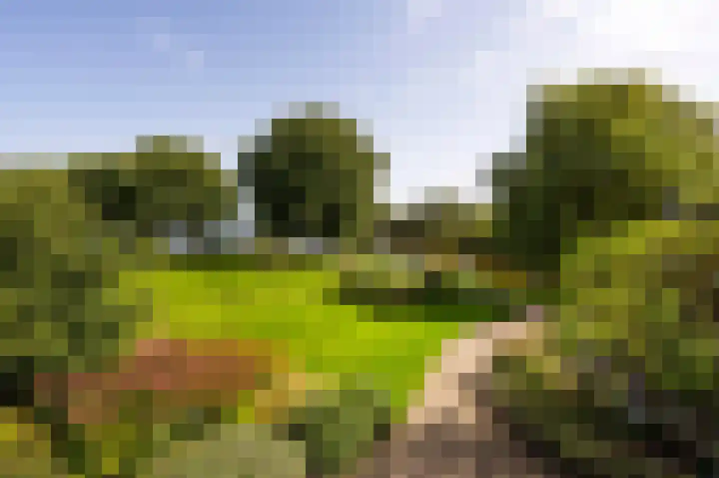 Horndijk 2 a Loosdrecht thumbnail 10