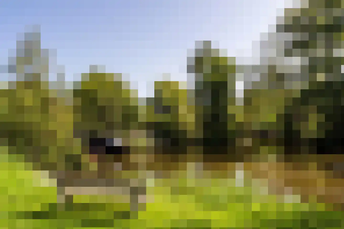 Horndijk 2 a Loosdrecht thumbnail 18