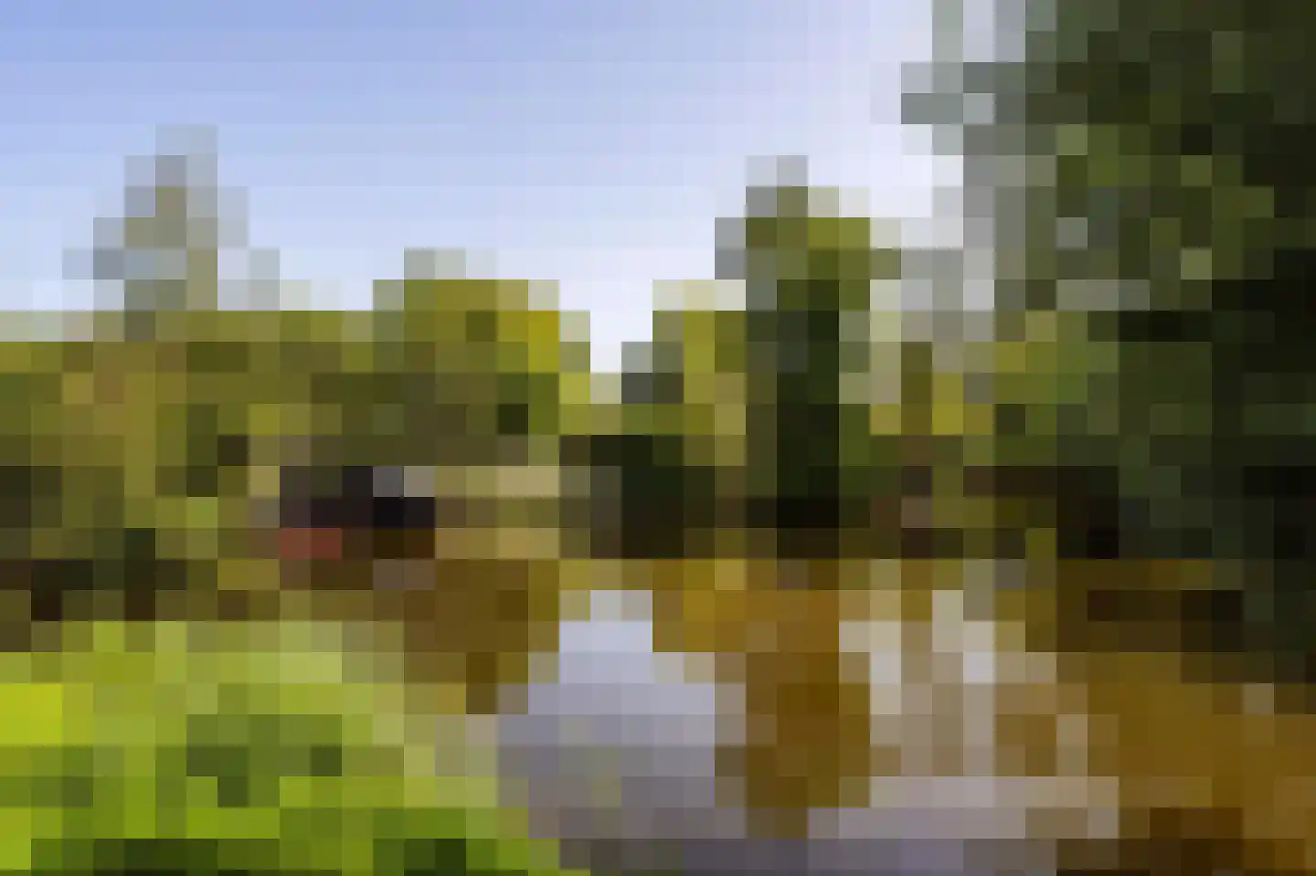 Horndijk 2 a Loosdrecht thumbnail 19