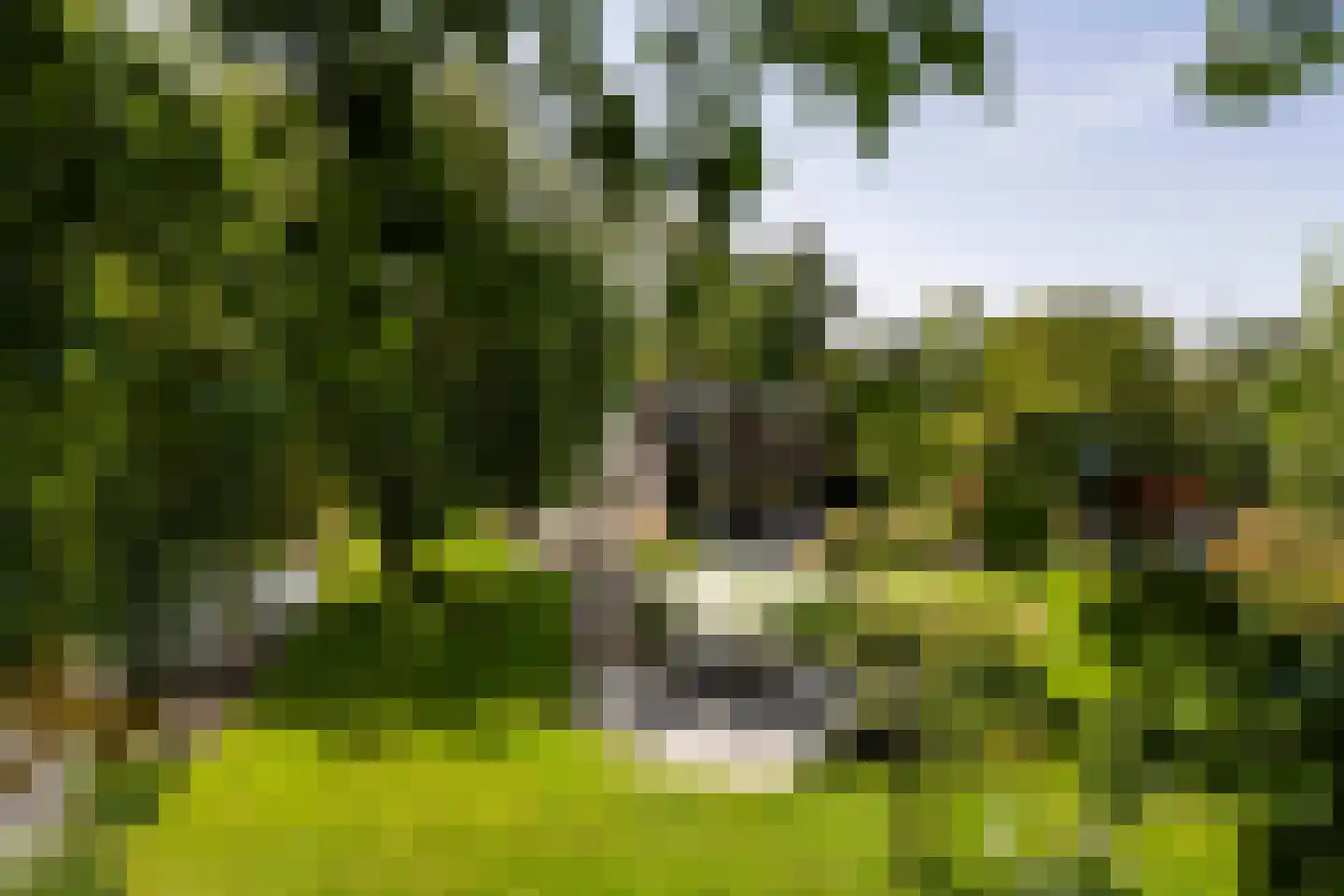 Horndijk 2 a Loosdrecht thumbnail 34
