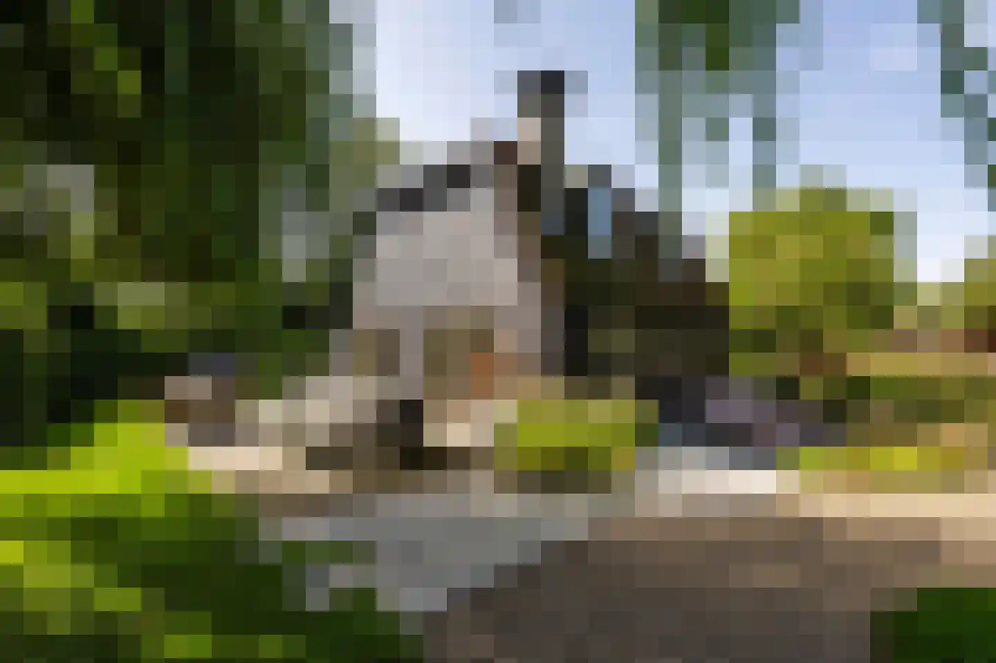 Horndijk 2 a Loosdrecht thumbnail 36