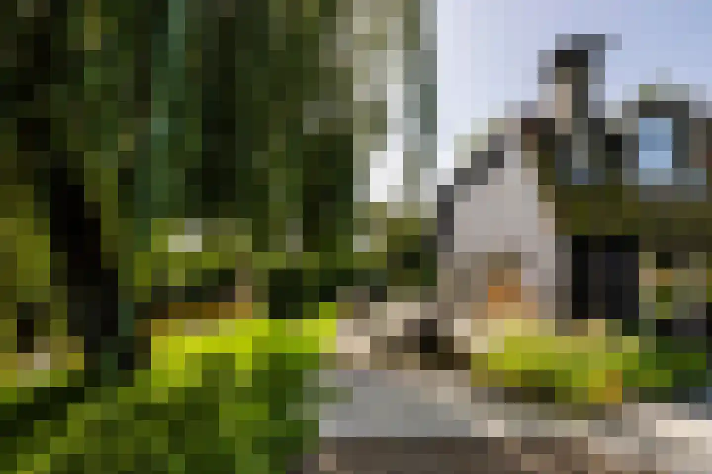 Horndijk 2 a Loosdrecht thumbnail 37