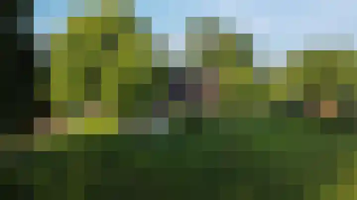 Horndijk 2 a Loosdrecht thumbnail 4