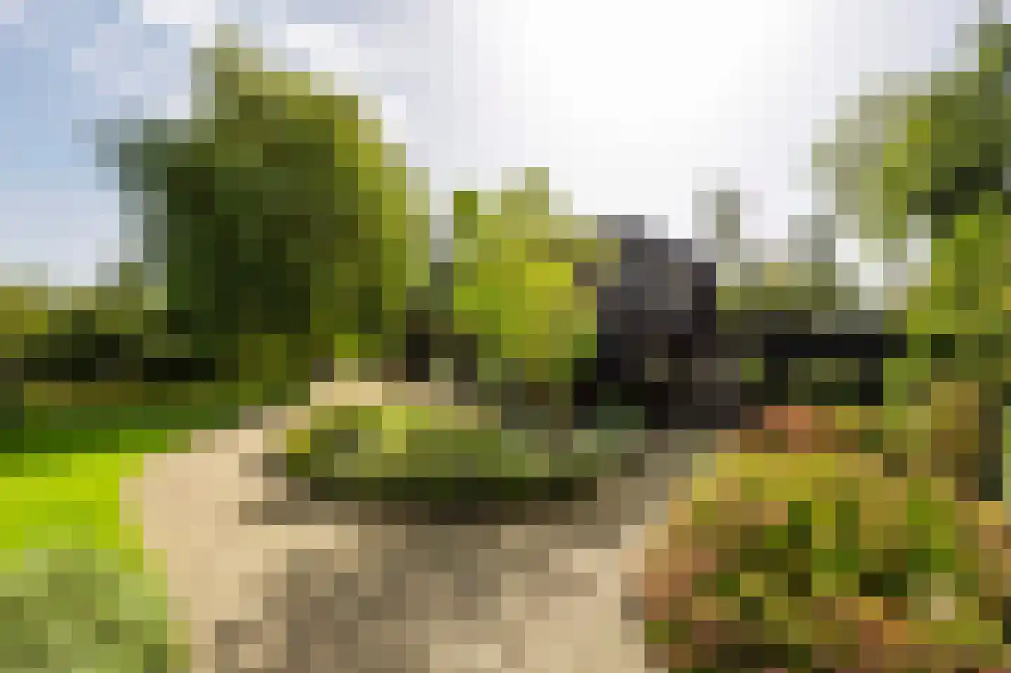 Horndijk 2 a Loosdrecht thumbnail 4