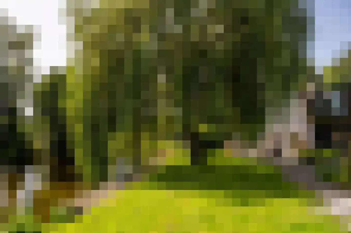 Horndijk 2 a Loosdrecht thumbnail 41