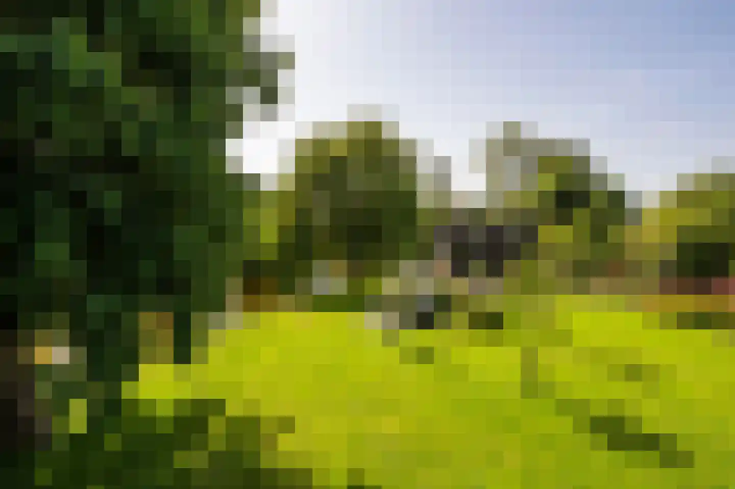 Horndijk 2 a Loosdrecht thumbnail 44