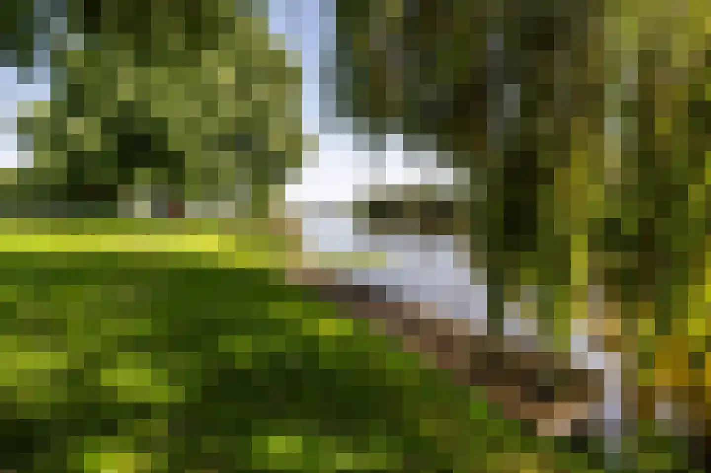 Horndijk 2 a Loosdrecht thumbnail 45