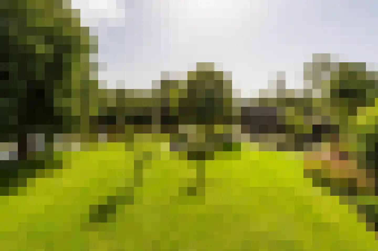 Horndijk 2 a Loosdrecht thumbnail 47