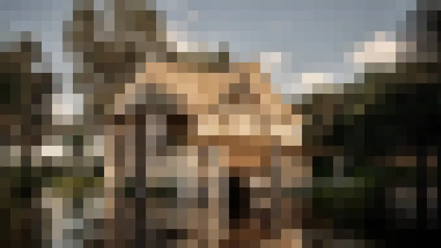 Horndijk 2 a Loosdrecht thumbnail 61