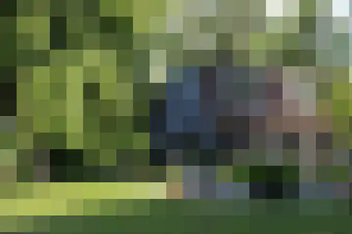 Horndijk 2 a Loosdrecht thumbnail 7