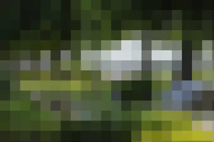 Horndijk 2 a Loosdrecht thumbnail 8