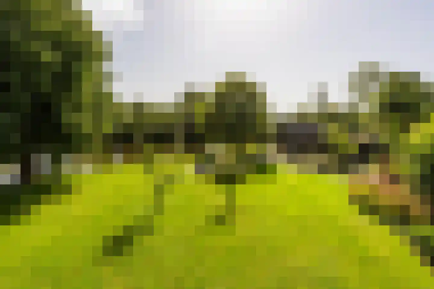 Horndijk 2 a Loosdrecht thumbnail 9