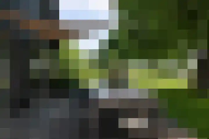 Horndijk 2 a Loosdrecht thumbnail 9