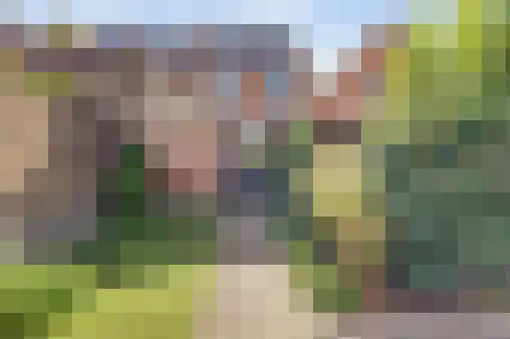 Horndijk 7 Leerdam thumbnail 4