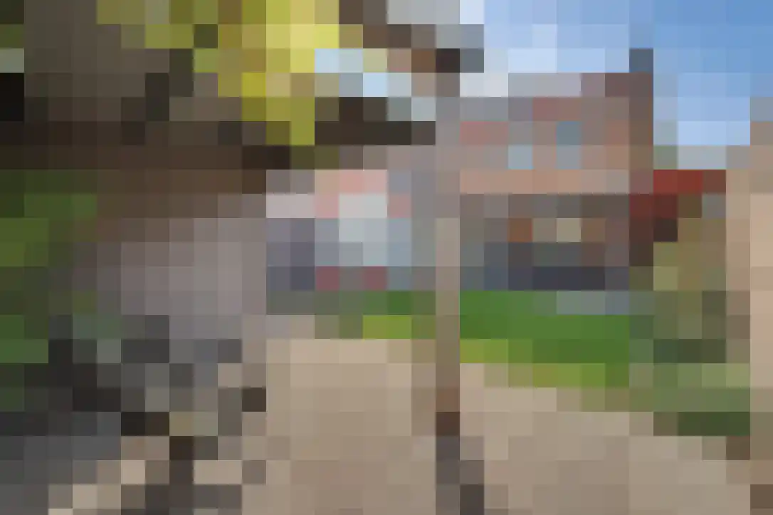 Horndijkstraat 1 Leerdam thumbnail 27