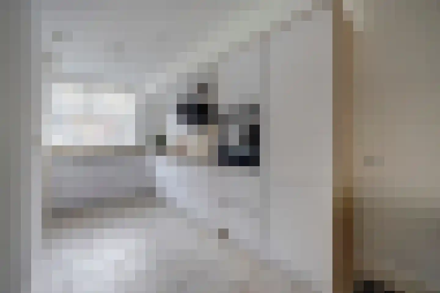 Hornetstraat 14 Rotterdam thumbnail 11