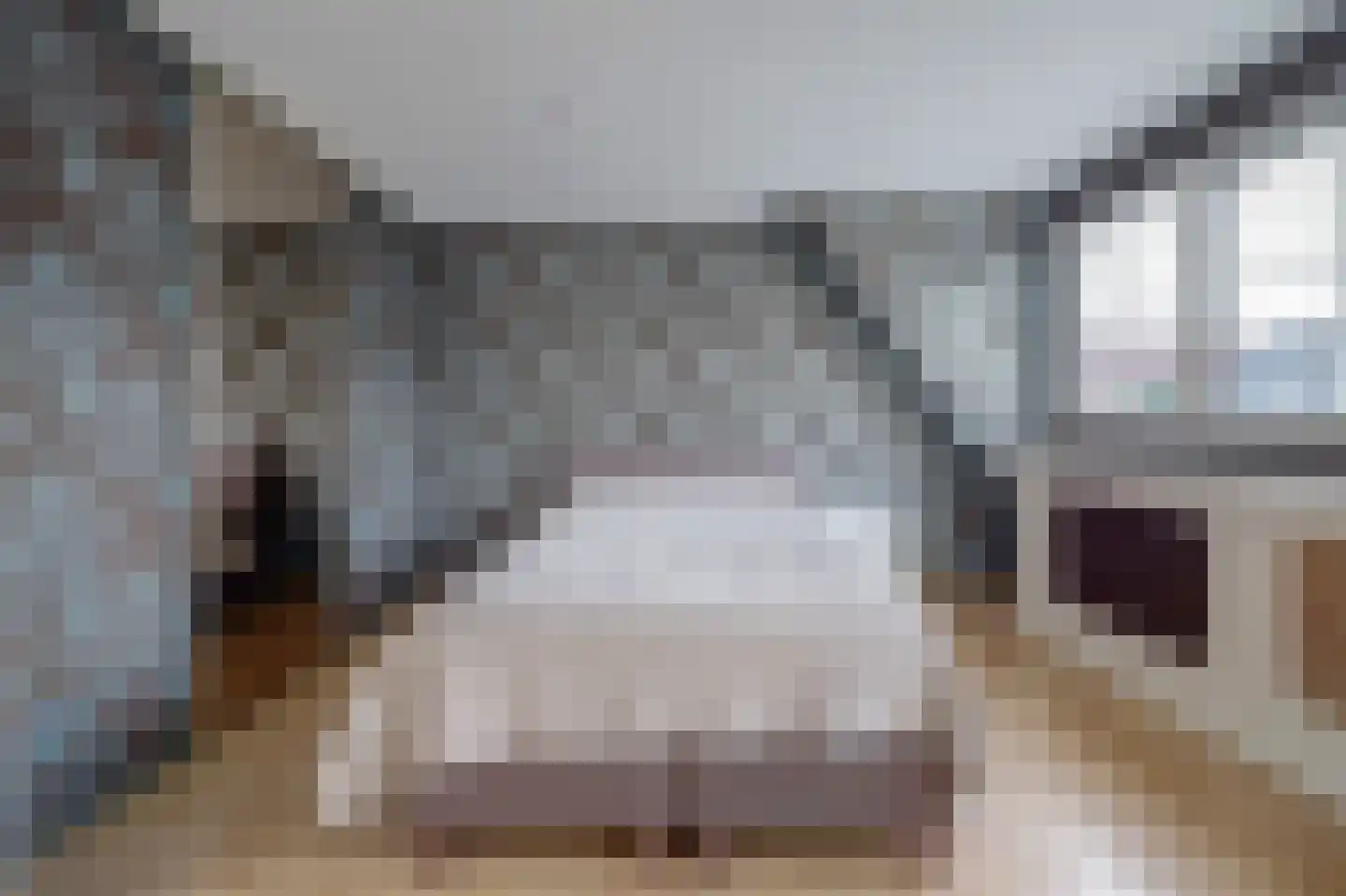 Hornetstraat 14 Rotterdam thumbnail 17