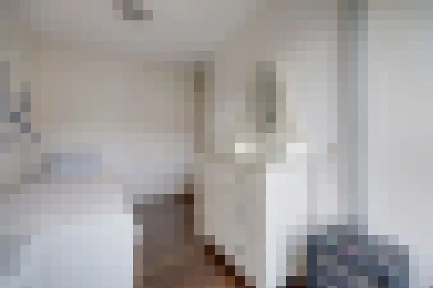Hornetstraat 14 Rotterdam thumbnail 21