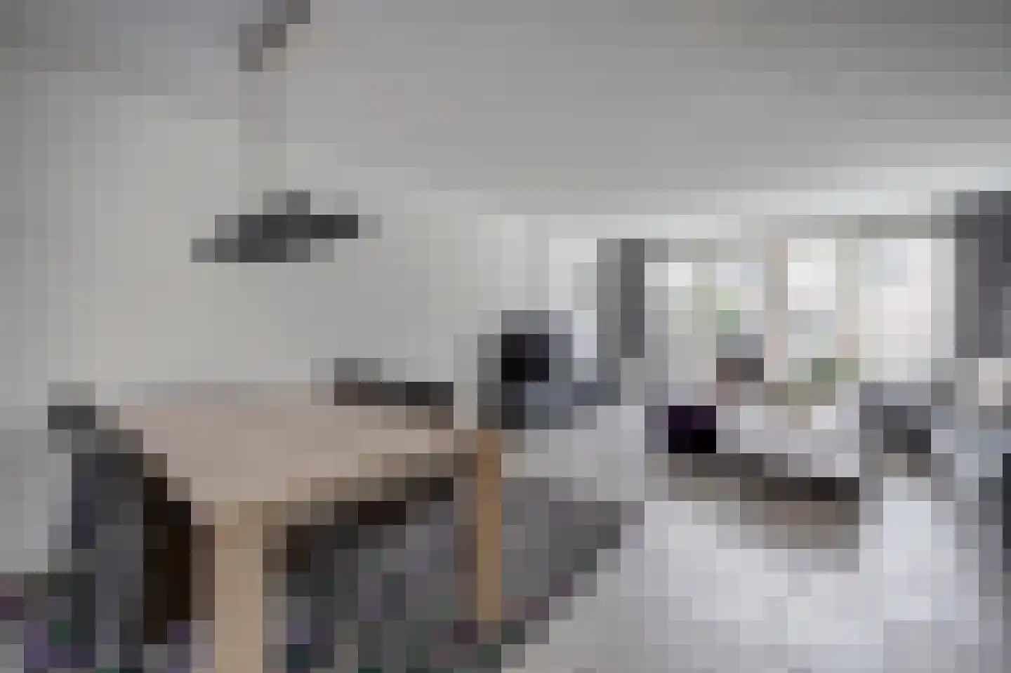 Hornetstraat 14 Rotterdam thumbnail 9